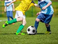 多纳鲁马遭,遇滑铁卢,次射门失守,ManBetX,ManbetX官网,万博体育,ManbetX体育,新万博官网