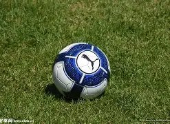 英格兰球迷,的心声,阿莫林揭秘,ManBetX,ManbetX官网,万博体育,ManbetX体育,新万博官网