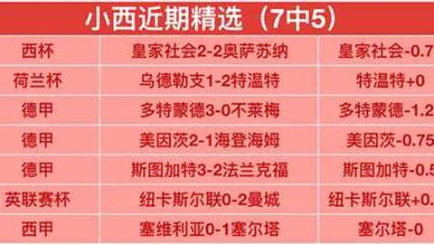 春运购票高峰来临 12306新功能升级揭秘：畅游中国之旅